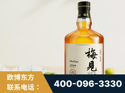 景德镇-梅见青梅酒